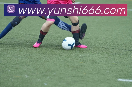 世界杯开户平台平台生态图